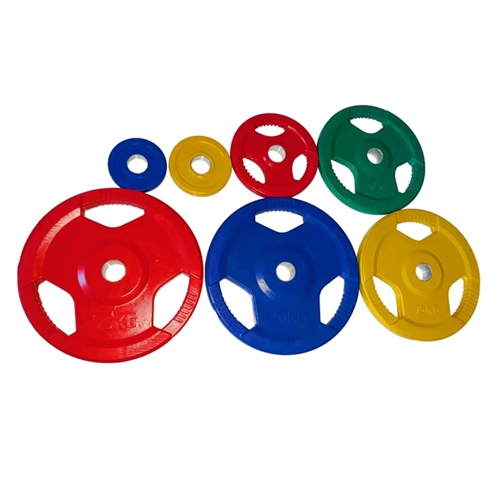 Discuri olimpice colorate 1,25 kg – 25 kg, DY-H-2012, Dayu Fitness DAYU-FITNESS DAYU-FITNESS