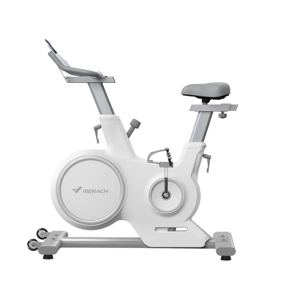 Bicicleta Spinning Deluxe MR-667-W0 Merach fitlife.ro imagine 2022